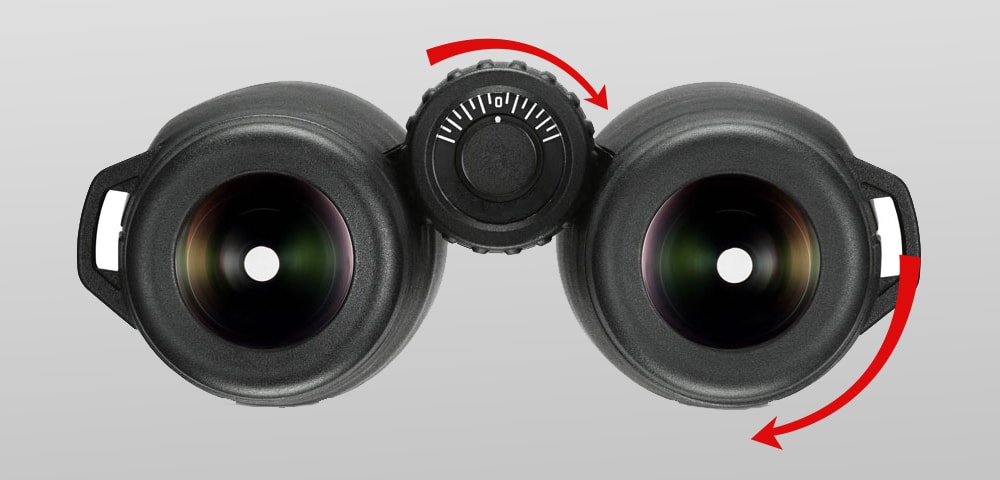 How Do You Adjust Your Binoculars Properly